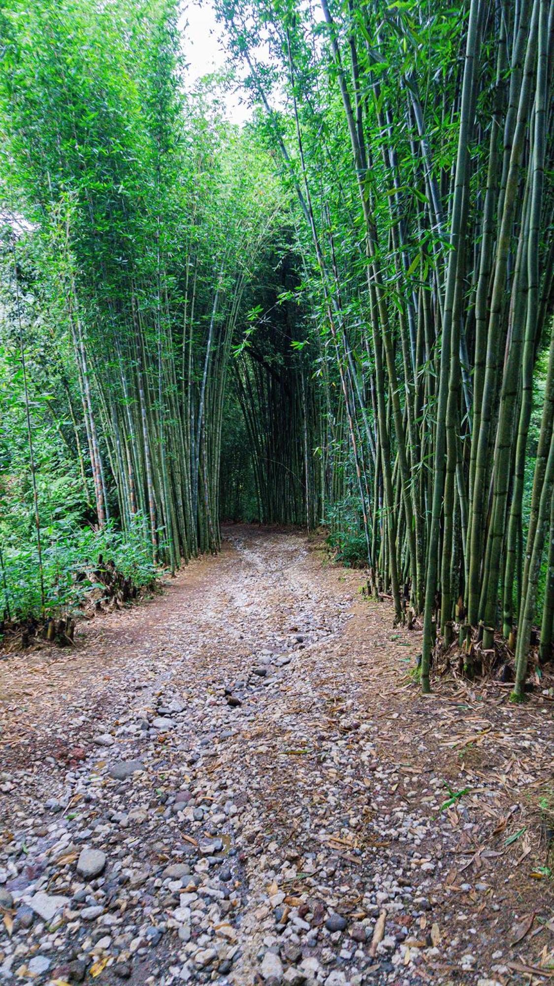 Boscana Forest Resort & Residence Coscomatepec de Bravo 外观 照片